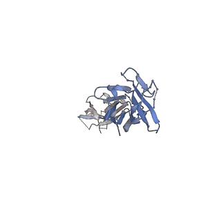 23097_7l09_M_v1-2
Cryo-EM structure of SARS-CoV-2 2P S ectodomain bound domain-swapped antibody 2G12 from masked 3D refinement