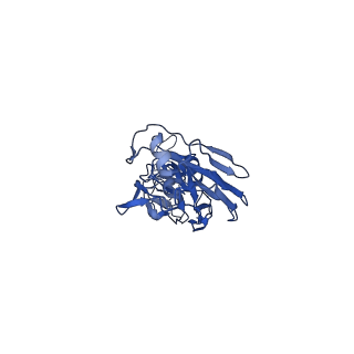 23098_7l0l_A_v1-2
Cryo-EM structure of the VRC316 clinical trial, vaccine-elicited, human antibody 316-310-1B11 in complex with an H2 CAN05 HA trimer
