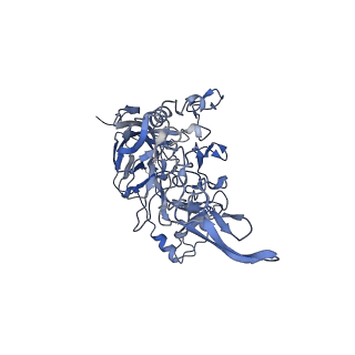 23104_7l0u_3_v1-2
Human Bocavirus 2 (pH 5.5)