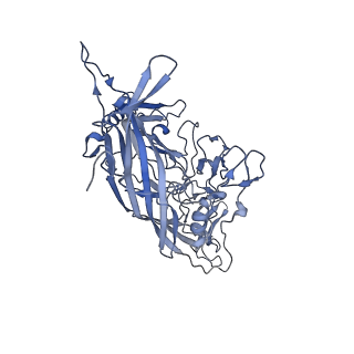 23104_7l0u_7_v1-2
Human Bocavirus 2 (pH 5.5)