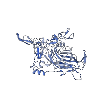 23104_7l0u_D_v1-2
Human Bocavirus 2 (pH 5.5)