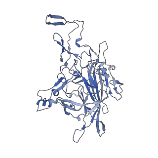 23104_7l0u_F_v1-2
Human Bocavirus 2 (pH 5.5)