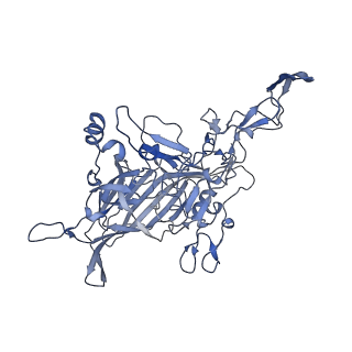 23104_7l0u_G_v1-2
Human Bocavirus 2 (pH 5.5)