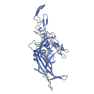 23104_7l0u_J_v1-2
Human Bocavirus 2 (pH 5.5)