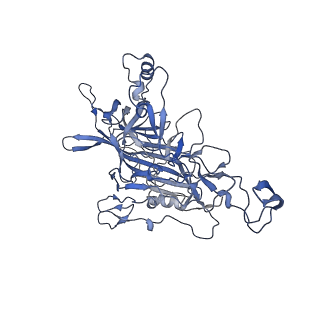 23104_7l0u_Q_v1-2
Human Bocavirus 2 (pH 5.5)