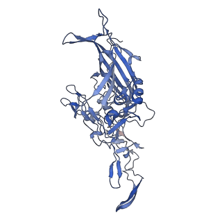 23104_7l0u_S_v1-2
Human Bocavirus 2 (pH 5.5)