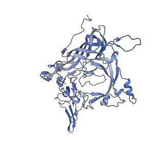 23104_7l0u_V_v1-2
Human Bocavirus 2 (pH 5.5)