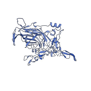 23104_7l0u_W_v1-2
Human Bocavirus 2 (pH 5.5)
