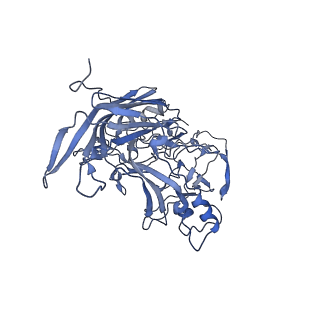 23104_7l0u_h_v1-2
Human Bocavirus 2 (pH 5.5)