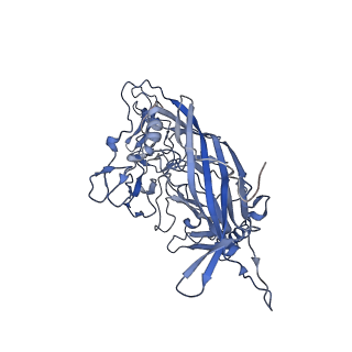 23104_7l0u_i_v1-2
Human Bocavirus 2 (pH 5.5)