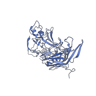 23104_7l0u_o_v1-2
Human Bocavirus 2 (pH 5.5)
