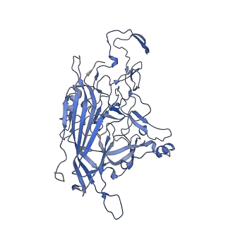 23104_7l0u_v_v1-2
Human Bocavirus 2 (pH 5.5)