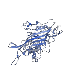 23104_7l0u_x_v1-2
Human Bocavirus 2 (pH 5.5)