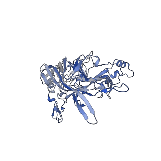 23104_7l0u_z_v1-2
Human Bocavirus 2 (pH 5.5)
