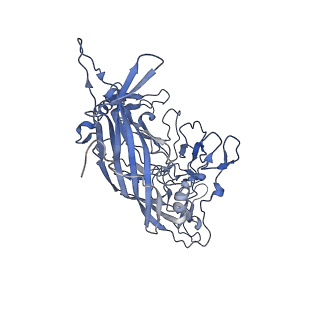 23105_7l0v_7_v1-2
Human Bocavirus 2 (pH 7.4)
