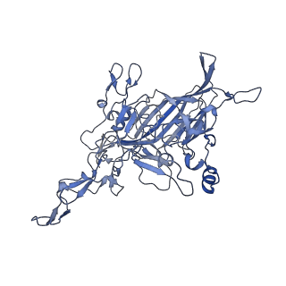 23105_7l0v_E_v1-2
Human Bocavirus 2 (pH 7.4)