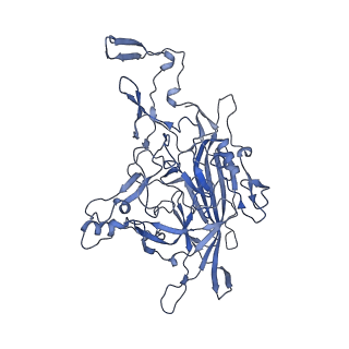 23105_7l0v_F_v1-2
Human Bocavirus 2 (pH 7.4)