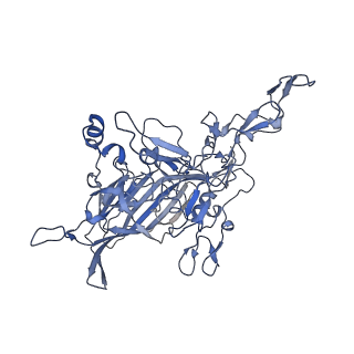 23105_7l0v_G_v1-2
Human Bocavirus 2 (pH 7.4)