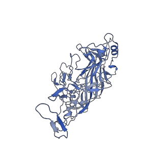 23105_7l0v_N_v1-2
Human Bocavirus 2 (pH 7.4)