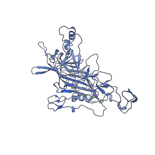 23105_7l0v_Q_v1-2
Human Bocavirus 2 (pH 7.4)