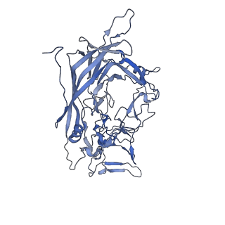 23105_7l0v_Z_v1-2
Human Bocavirus 2 (pH 7.4)