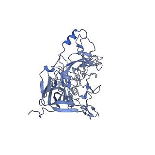 23105_7l0v_a_v1-2
Human Bocavirus 2 (pH 7.4)