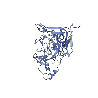 23105_7l0v_d_v1-2
Human Bocavirus 2 (pH 7.4)