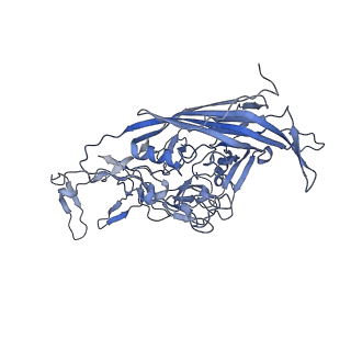 23105_7l0v_f_v1-2
Human Bocavirus 2 (pH 7.4)