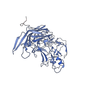 23105_7l0v_h_v1-2
Human Bocavirus 2 (pH 7.4)