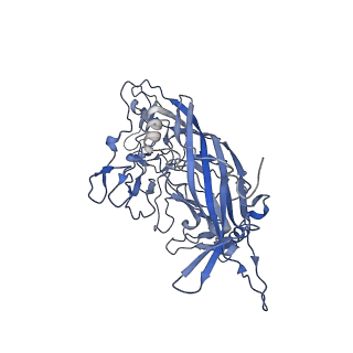23105_7l0v_i_v1-2
Human Bocavirus 2 (pH 7.4)