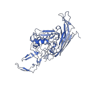23105_7l0v_m_v1-2
Human Bocavirus 2 (pH 7.4)