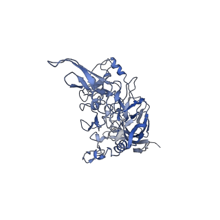 23105_7l0v_n_v1-2
Human Bocavirus 2 (pH 7.4)