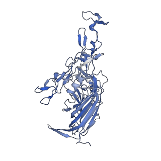 23105_7l0v_r_v1-2
Human Bocavirus 2 (pH 7.4)
