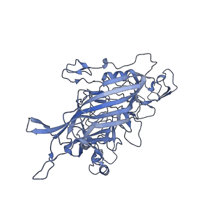 23105_7l0v_x_v1-2
Human Bocavirus 2 (pH 7.4)