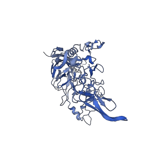 23106_7l0w_3_v1-2
Human Bocavirus 1 (pH 5.5)