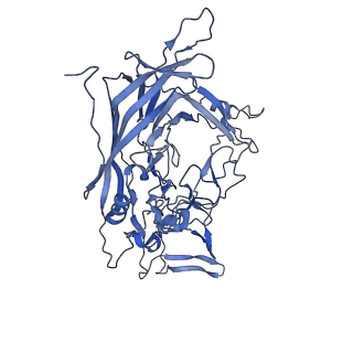 23106_7l0w_Z_v1-2
Human Bocavirus 1 (pH 5.5)
