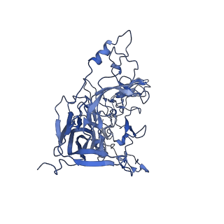 23106_7l0w_a_v1-2
Human Bocavirus 1 (pH 5.5)