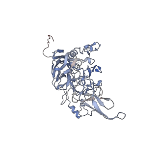 23107_7l0x_3_v1-2
Human Bocavirus 2 (pH 2.6)
