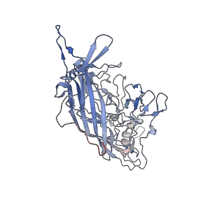 23107_7l0x_7_v1-2
Human Bocavirus 2 (pH 2.6)