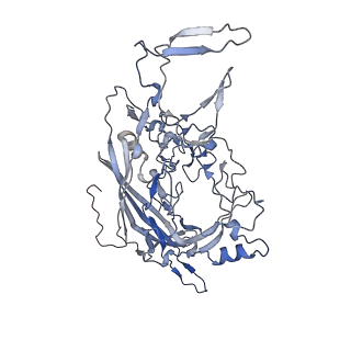 23107_7l0x_8_v1-2
Human Bocavirus 2 (pH 2.6)