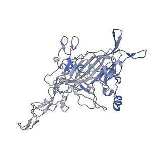 23107_7l0x_E_v1-2
Human Bocavirus 2 (pH 2.6)