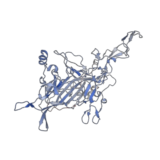 23107_7l0x_G_v1-2
Human Bocavirus 2 (pH 2.6)