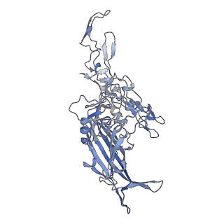 23107_7l0x_J_v1-2
Human Bocavirus 2 (pH 2.6)