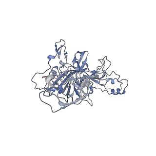 23107_7l0x_L_v1-2
Human Bocavirus 2 (pH 2.6)