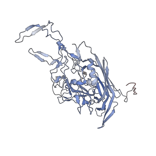 23107_7l0x_T_v1-2
Human Bocavirus 2 (pH 2.6)