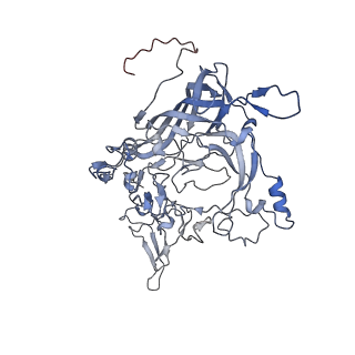 23107_7l0x_V_v1-2
Human Bocavirus 2 (pH 2.6)