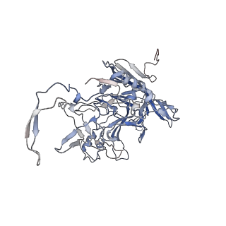 23107_7l0x_X_v1-2
Human Bocavirus 2 (pH 2.6)