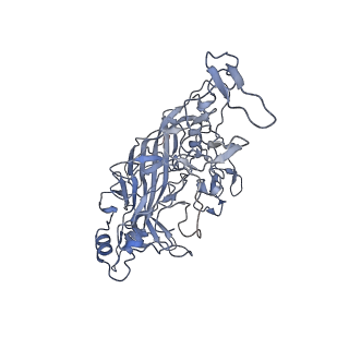 23107_7l0x_Y_v1-2
Human Bocavirus 2 (pH 2.6)