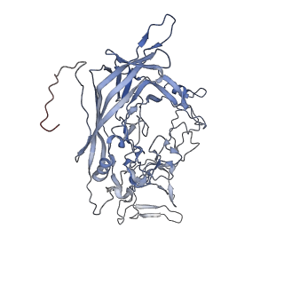 23107_7l0x_Z_v1-2
Human Bocavirus 2 (pH 2.6)