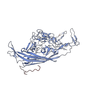 23107_7l0x_c_v1-2
Human Bocavirus 2 (pH 2.6)